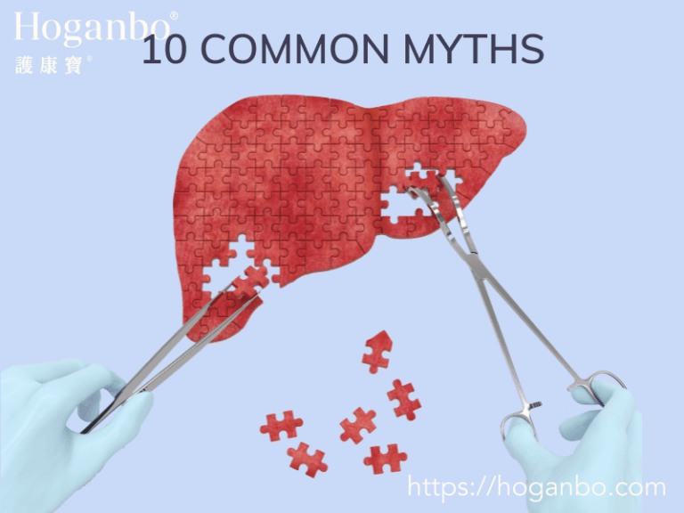 10 Common Myths About The Liver