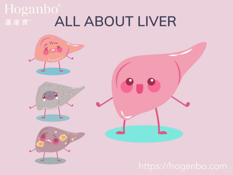 All About Liver